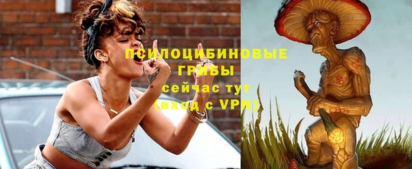 МДПВ Зеленокумск