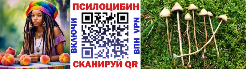 Купить закладки  Весьегонск  Псилоцибиновые грибы GOLDEN TEACHER 